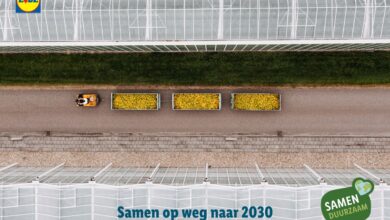 Too Good to Go Lidl Verkoop is Gestopt