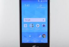 Virgin Mobile Ans Ul40 Phone Case