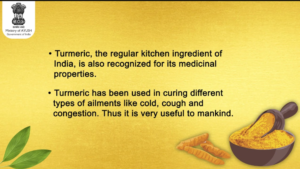 wellhealthorganic.com/health-benefits-of-turmeric-tea