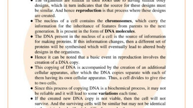 Do Organisms Create Exact Copies of Themselves