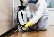 How to Hire a Pest Control Company for Regular Services?
