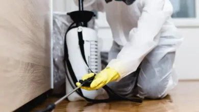 How to Hire a Pest Control Company for Regular Services?